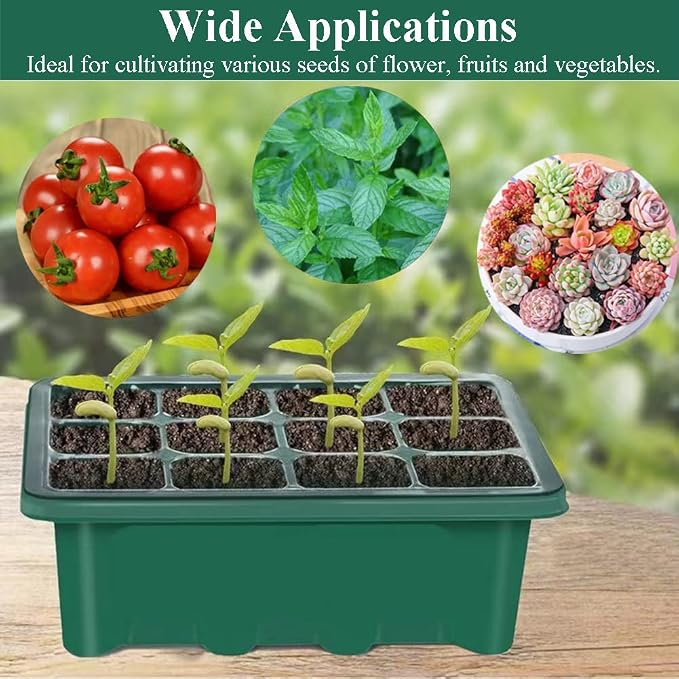 Seed Starter Tray Seedling Kits with Grow Light, 3-Pack Plant Germination Set with Adjustable Humidity Dome and Base Greenhouse Grow Trays for Seeds Growing Starting (12 Cells per Tray)
