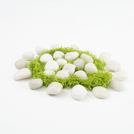 Natural White River Pebbles - LOOIOOJ 20 Lbs Polished Decorative Rocks, 0.5-1 inch, for Aquariums, Gardens, and Indoor Plant Drainage (White, Weight: 20 LB)