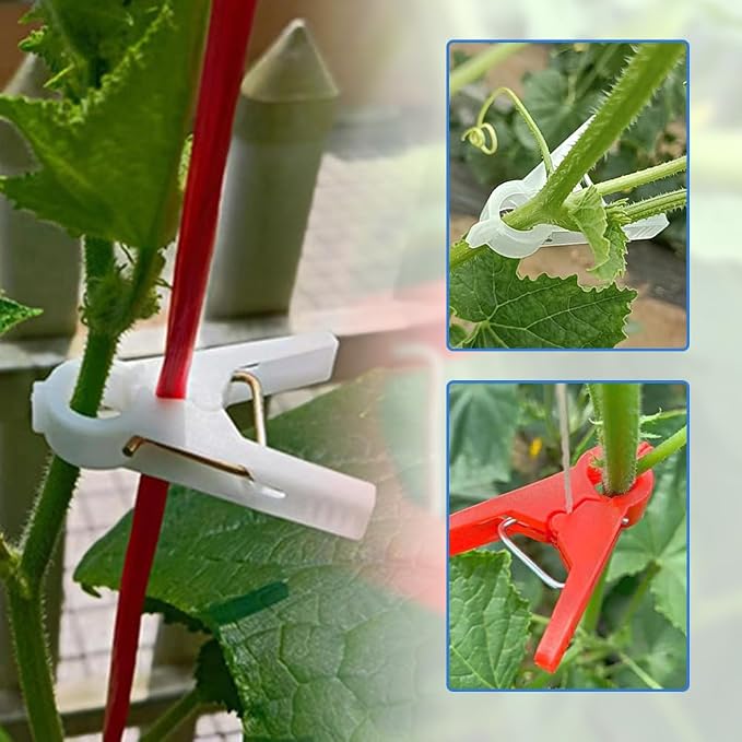Plant Support Clips Reusable Garden Clips, Secured Plastic Plant Clips for Climbing Plants Outdoor, Plant Fixing Clips Tomato Clips for String Trellis, Vine Clips Trellis Clips (100, White_30MM)