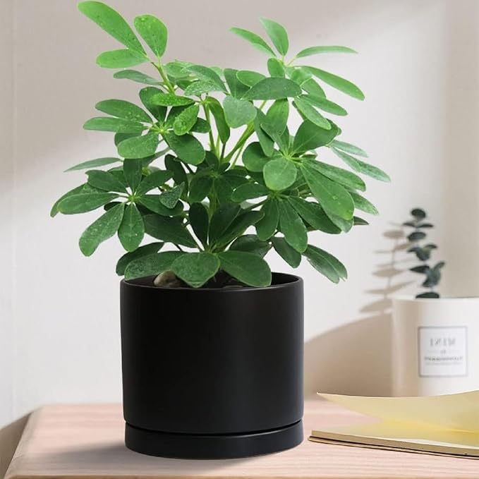 Yukfona Ceramic Plant Saucer Tray 2 Pcs 6.4 Inch Black, 6.4" OD x6.02 ID x0.9 Deep| Fits Flower pots Bottom≤ 6.02", Heavy Duty Glazed Round Planter Drip with Catch Basin for Indoor Outdoor Plants