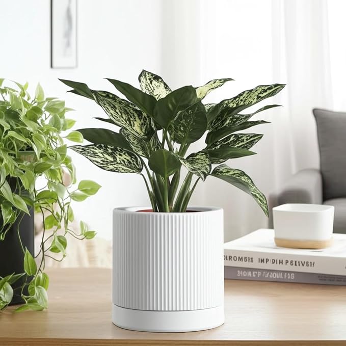 HERDUK 6 Inch Ceramic Plant Pot with Drainage & Saucer - Indoor Planter for Succulents, Cacti & Aloe Vera - Striped Design, High-Temp Fired Clay, Lightweight Modern Decor White