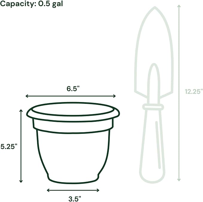 Bloem Ariana 6" Self-Watering Plastic Planter - Rolled Rim Indoor/Outdoor Garden Pot, Peppercorn