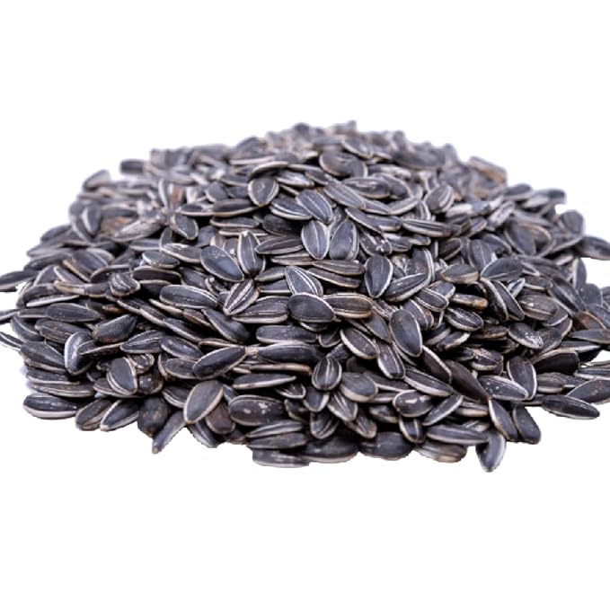 Gerbs Roasted Unsalted Whole Sunflower Seeds 1 lb. | Small Batch, No Artificial Additives, Resealable Bag | Crack-and-Eat Crunchy Snack | Top 14 Allergen-Free