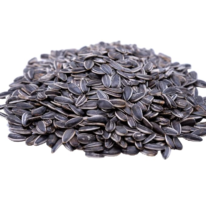 Lightly Sea Salted Sunflower Seed in Shell by Gerbs - 4 LBS - Top 11 Food Allergen Free & Non GMO - Premium Dry Roasted Seeds – COG USA