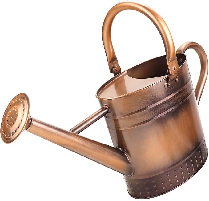 1 Gallon Metal Watering Can with Removable Spout, Nice Galvanized Steel Water Can with Embossed Design for Indoor and Outdoor Plants