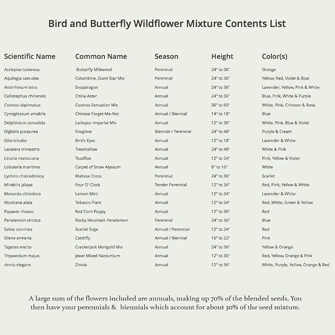 Seed Needs Wildflower Seeds Butterfly and Hummingbird Mix 2 Ounce Bulk Pack