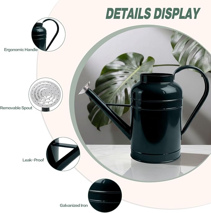 LONGRUN 2.3 Gallon Dark Green Metal Watering Can for Plants and Garden with Removable Spout, Made of Galvanized Iron