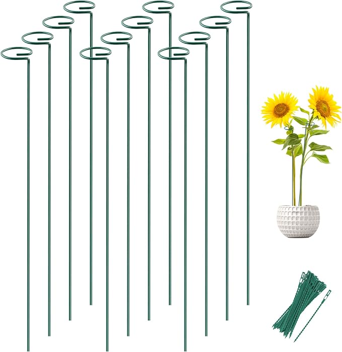 Joyhalo 12 Pack Plant Support Stakes 36 Inches, Plant Stakes, Flower Stakes with 24 Twist Ties, Garden Sticks for Plants Hibiscus, Sunflower, Red Hot Poker, Hydrangea, Tomato, Sapling Etc