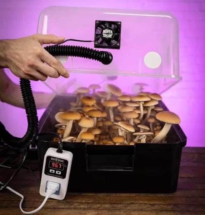 North Spore Automated 'Boomr Bin' Mushroom Monotub Kit | Mushroom Grow Kit with Automated Humidity Control, FAE Fan Included, Holds 25 lbs Substrate, Light-blocking Base, Stackable