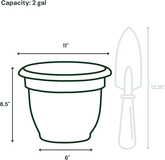 Bloem Ariana 10" Self-Watering Plastic Planter - Rolled Rim Indoor/Outdoor Garden Pot, Terra Cotta, 2-Pack