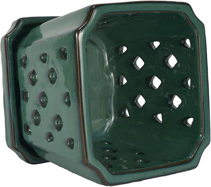 W&W Orchid Pot with Holes and Saucer for Repotting, Green, 7"