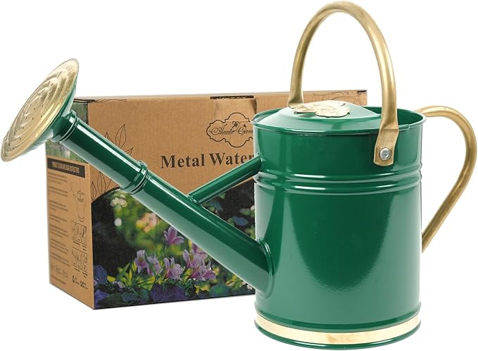1 Gallon Green Metal Watering Can with Solid Brass Details, Removable Watering Rose, Decorative Garden Can for Indoor Plants, Patio and Greenhouse