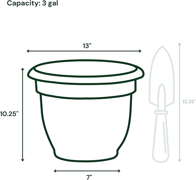 Bloem Ariana 12" Self-Watering Plastic Planter - Rolled Rim Indoor/Outdoor Garden Pot, Black, 2-Pack