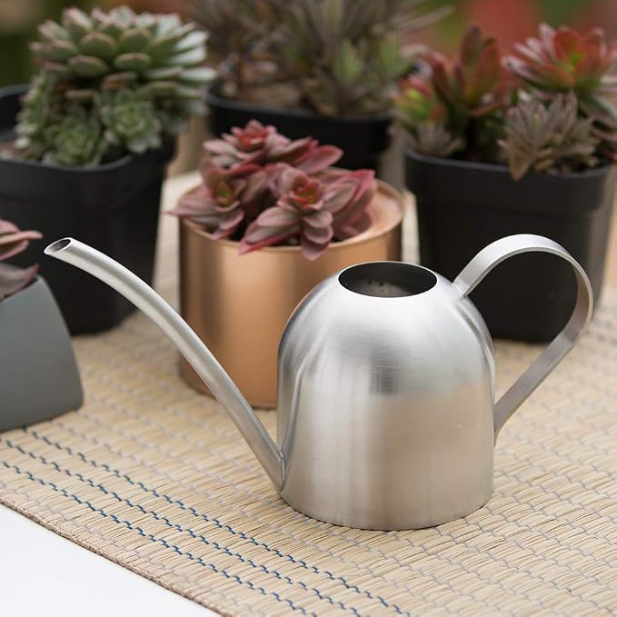 Watering Can for Indoor Plants, 30oz Long Spout Stainless Steel | Long Spout Design Delivers Precise Watering Directly To Plant Roots