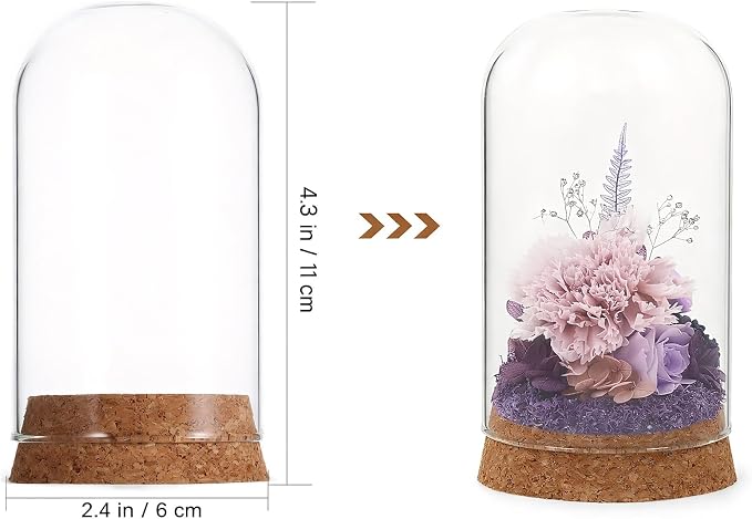 IMIKEYA 5Pcs The Bell Jar Glass Cloche with Rustic Wood Base, Tall Clear Decorative Cloche Glass Dome Display Case for Plants, Curios, Keepsakes, Heirlooms
