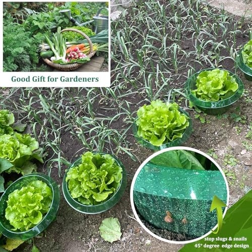 Fshow Garden Cloches，15 Pack Plastic Slug & Snail Plant Protection Collars,Snail Defense Without Chemistry, Snail Collar Protects Plants to Get Better. (Emerald Green) - Image 2