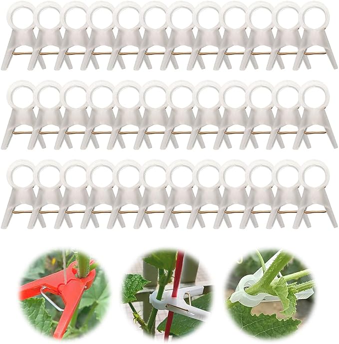 Plant Support Clips Reusable Garden Clips, Secured Plastic Plant Clips for Climbing Plants Outdoor, Plant Fixing Clips Tomato Clips for String Trellis, Vine Clips Trellis Clips (100, Clear_18MM)