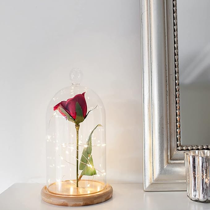 Lyellfe 2 Pack Cloche Glass Dome, 8'' x 5'' Dome Cloche with Rustic Wooden Base, Glass Cloche Bell Jar Display for Plants, Fairy Lights or Table Decor
