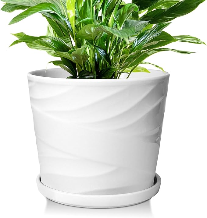 8 Inch Plant Pot,Ceramic Planter with Drainage and Saucer,Ceramic Pots for Plants,Indoor Plant pots,Ceramic Flower pots(Pure White)