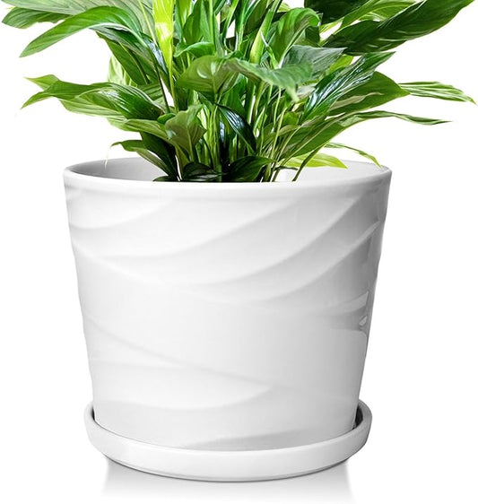 8 Inch Plant Pot,Ceramic Planter with Drainage and Saucer,Ceramic Pots for Plants,Indoor Plant pots,Ceramic Flower pots(Pure White)