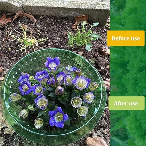 Fshow Garden Cloches，15 Pack Plastic Slug & Snail Plant Protection Collars,Snail Defense Without Chemistry, Snail Collar Protects Plants to Get Better. (Emerald Green) - Image 3