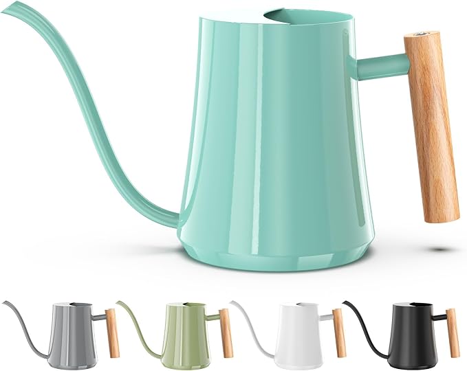 Green Moon 1L/35oz Metal Watering Can Indoor with Long Spout, Mint Green | Metal Stainless Steel Watering Can with Wood Handle for Indoor Plants, House Bonsai, Succulents, and Outdoor Garden Flowers