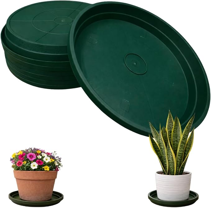 10 Inch Plant Pot Tray USA Made – Durable Plastic Flower Pot Saucer – Plant Water Catcher for Indoor Outdoor Garden (6, Deep Forest)
