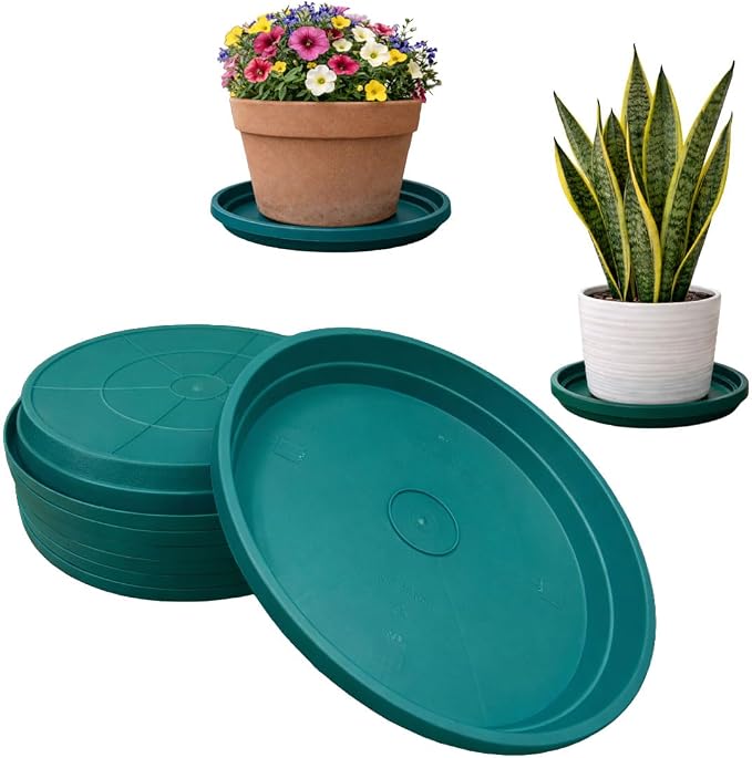 10 Inch Plant Pot Tray USA Made – Durable Plastic Flower Pot Saucer – Plant Water Catcher for Indoor Outdoor Garden (6, Mineral Teal)