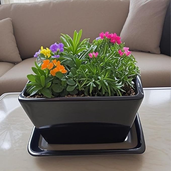 Square Ceramic Plant Saucer Tray 2 Pcs 5 6 Inch Black, 6.6" OD x5.5 ID x1.1 Deep, Sturdy Heavy Duty Glazed Planter Drip Flower pots with Catch Basin for Indoor Outdoor Plants(6" Black)