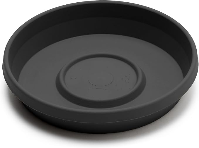 Bloem Terra 16" Round Plastic Plant Saucer, Lightweight UV-Resistant Indoor/Outdoor Flower Pot Tray - Fits 16-inch Planter Pots, Black, 2-Pack