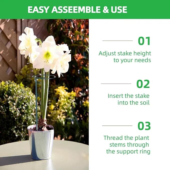 4-Pack Adjustable Plant Support Stakes - Heights: 12"/24"/36" - Stainless Steel & Deep Green - Plant Stakes for Indoor & Outdoor Plants, Gardens, Flowers, Tomatoes, & Vegetables