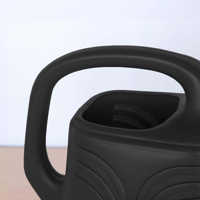 Bloem: Promo Watering Can: 2 Gallon Capacity - Black - Durable Resin, Removable Nozzle Spout, Two Handles, Wide Mouth, Indoor/Outdoor Use, Gardening