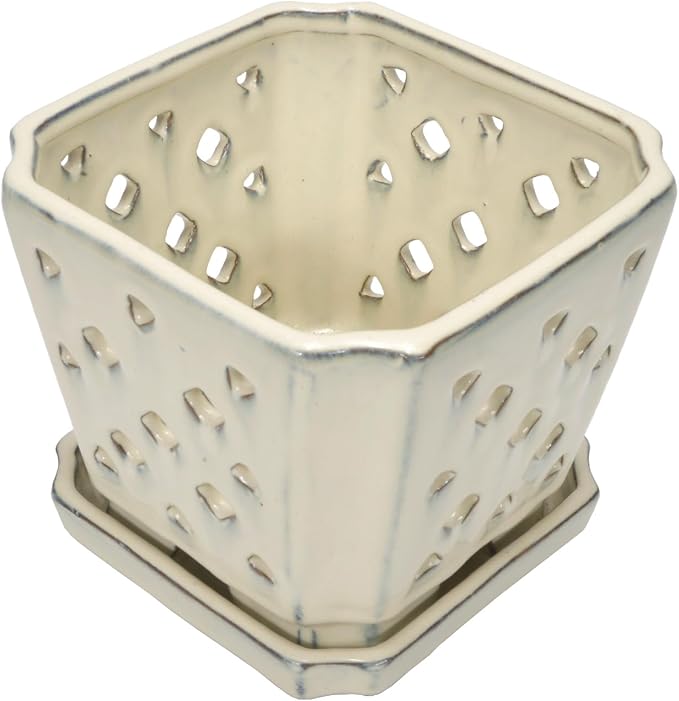 W&W Orchid Pot with Holes and Saucer for Repotting and Better Grow, Cream White, 7"