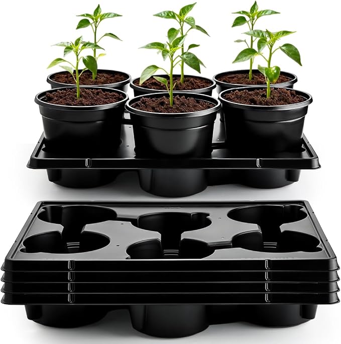 RooTrimmer 6 Inch Plastic Plant Pots 30 Pack and 6 Cell Nursery Pots Trays 5 Pack, Sturdy Seeds Starting Germination Shuttle Carrying Trays, Black Nursery Planting Propagation 5 Sets