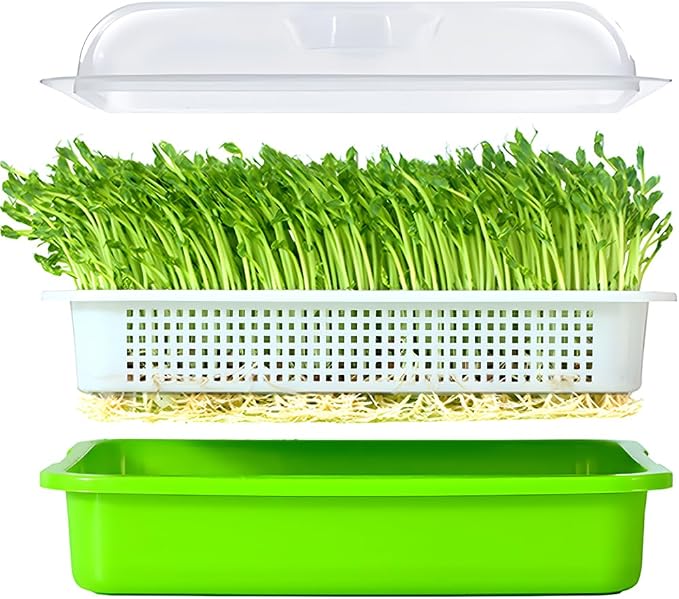 Seed Sprouter Tray with Lid BPA Free PP Sprouting Kit for Beans, Wheatgrass | Food-Grade PP, Soil-Free Large Capacity, Drainage Sprouting Kit for Mung Beans, Microgreens & Hydroponic Growing