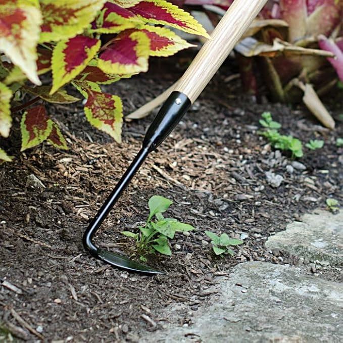 A.M. Leonard Cape Cod Weeders (18-1/2-Inch Hardwood Handle)