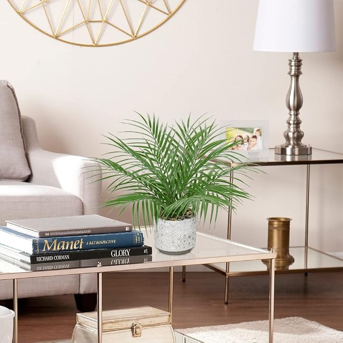 Hollyone Large Artificial Potted Plants Fake Palm Plants 16" Faux Tropical Palm Plant Tree in Ceramic Pots Bohemian for Home Room Office House Indoor Decoration