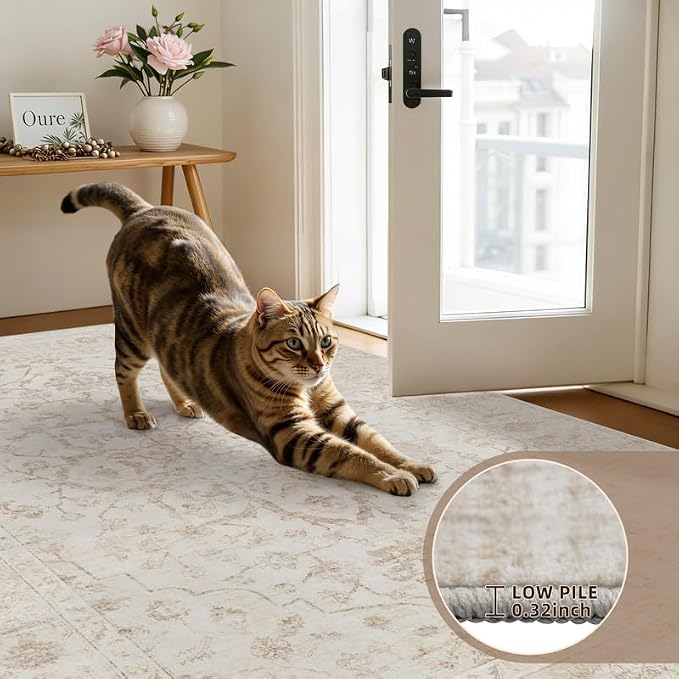 8x10 Area Rugs Living Room: Bedroom Washable Carpet Warm Beige | Vintage Boho Soft Small Indoor Decor Floor Non-Slip Low Pile Neutral Farmhouse Entryway Laundry Bathroom Bedroom Beside Rugs
