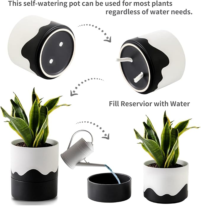 Nihow Ceramic Self Watering Plant Pot for Indoor Plants,6 Inch,White Black | Planter with Cotton Wick, Drainage Hole & Water Storage Plus, Cylinder Round Flower Pot, For Succulent/Herbs/Violets