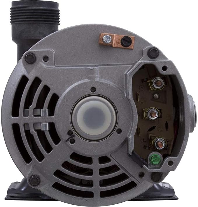 Aqua-Flo 1.0 Horsepower 115 Volts 2-Speed Pump FMHP - 02110000-1010