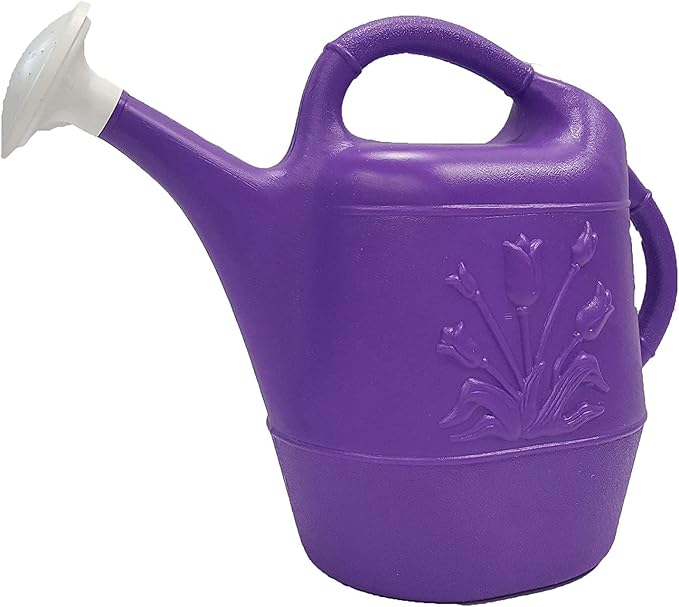Union Products 63071 2 Gallon Plastic Indoor/Outdoor Watering Can w/Tulip Design for Garden, Potted Plants, & Patio Pots, Purple