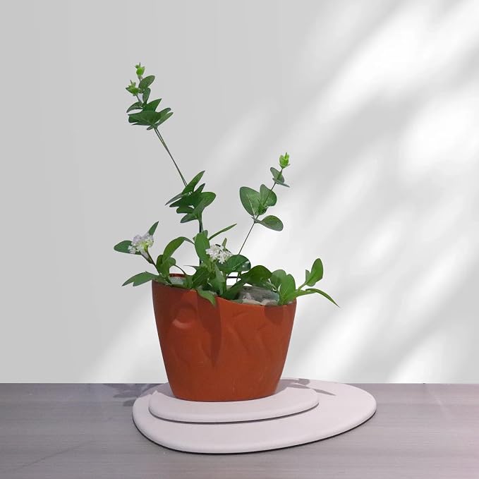 Elfcool Quick Dry Absorbent Flower Pot Saucer Dirp Tray Diatomaceous Earth Mat for Indoor Outdoor Plants (8''&12''-Off White-2pack)