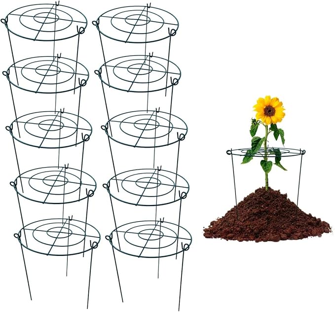10 Pack 12"x16" Peony Cages Plant Support Stakes Grow Through Grid Grow Through Hoops, Metal Flower Plant Brace Support Ring for Heavy Blossom