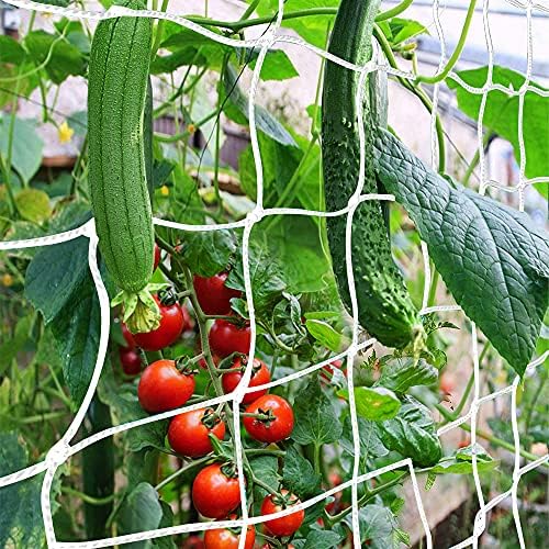  , CANAGROW Heavy-Duty Garden Plant Trellis Netting for Climbing Plants, Outdoor Indoor Grow Net for Beans Tomatoes Peas Pumpkin Flowers,   , Pack of 2 by CANAGROW