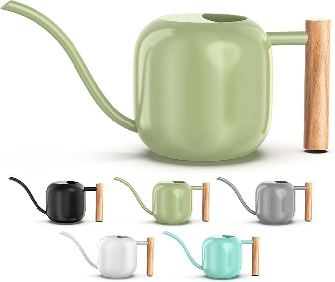 Green Moon 1.2L/41oz Metal Metal Watering Can with Long Spout, Sage Green | Metal Stainless Steel Watering Can for Indoor Plants, House Bonsai, Succulents, and Garden Flowers, Decorative Watering Cans