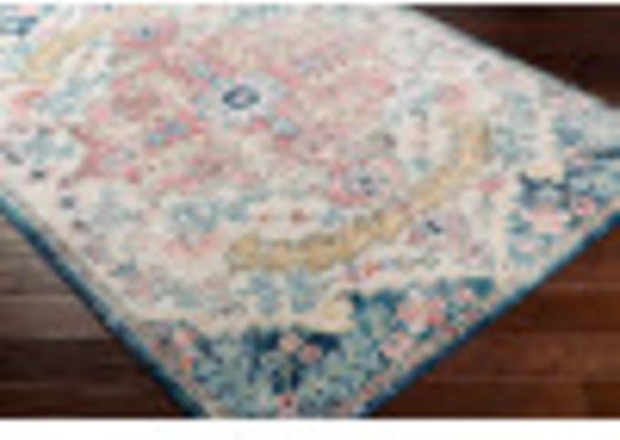 Livabliss Area Rugs - 3x7 Odelia Vintage Boho Aqua Burgandy Blue Runner Area Rug for Living Room Bedroom - Floral Medallion Stain Resistant Carpet for Kitchen, Nursery, Office (2'7" x 7'3", Runner)