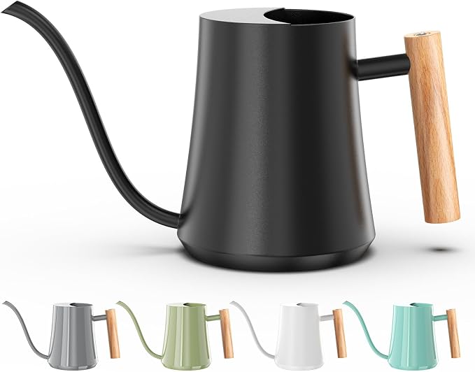 Green Moon 1L/35oz Metal Watering Can Indoor with Long Spout, Black | Metal Stainless Steel Watering Can with Wood Handle for Indoor Plants, House Bonsai, Succulents, and Outdoor Garden Flowers