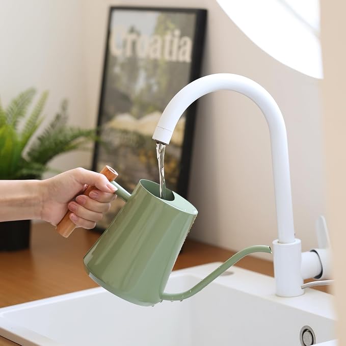 Green Moon 1L/35oz Metal Watering Can Indoor with Long Spout, Sage Green | Metal Stainless Steel Watering Can with Wood Handle for Indoor Plants, House Bonsai, Succulents, and Outdoor Garden Flowers