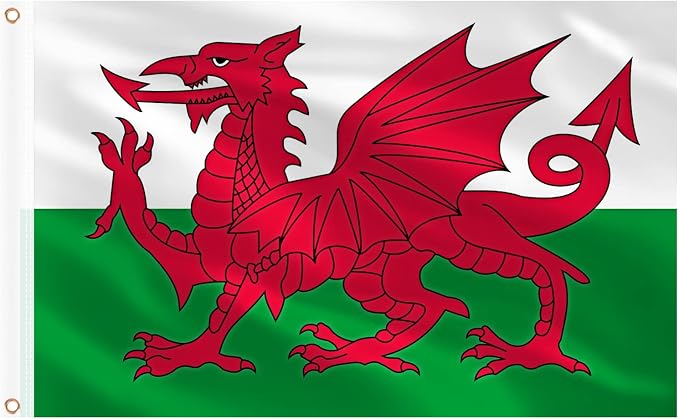 AhfuLife Wales Flag 3x5 Ft, Large Wales Flag for Outside - Double Side with Brass Eyelets for Olympic Party Decorations, Bar Garden Street Decoration Indoor Outdoor
