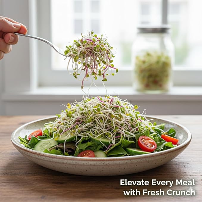 Todd's Seeds Broccoli & Friends Mix 1/4 lb - Broccoli Alfalfa Radish Clover | Broccoli, Clover, Radish & Alfalfa. Fast-growing microgreens in 5 days. Chemical free, high germination. USA made since 2009.